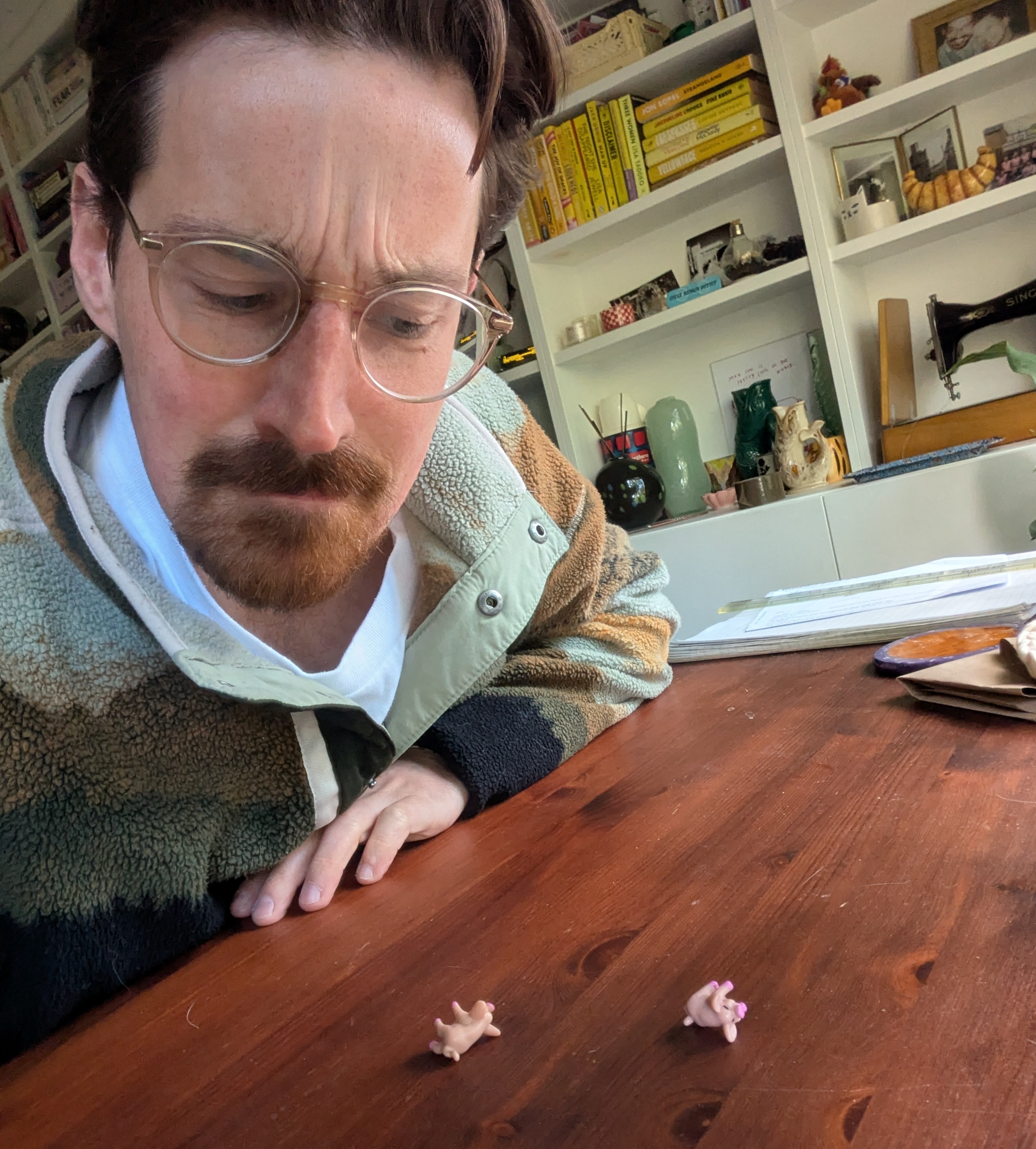Me with the Pass The Pigs dice